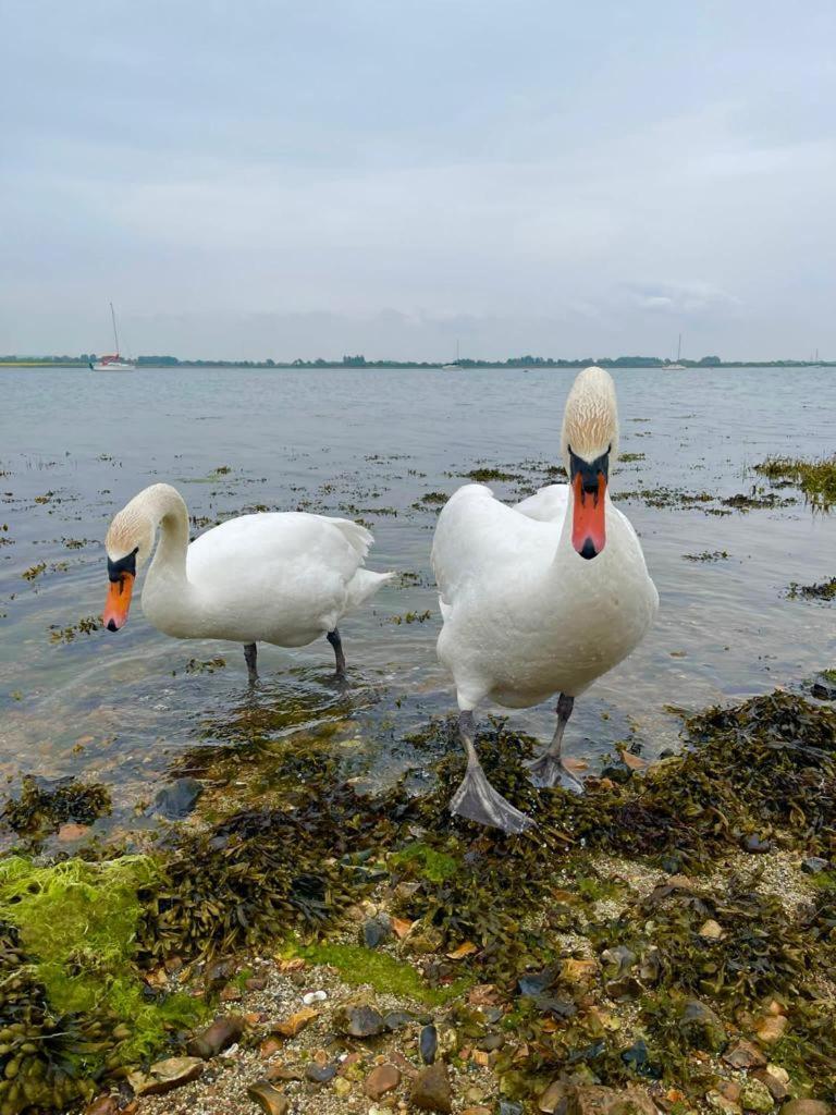 Sea Breeze Ark 900 Hotel Emsworth Luaran gambar